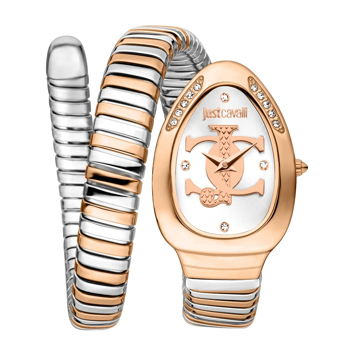 MONTRE JUST CAVALI FEMME ACIER